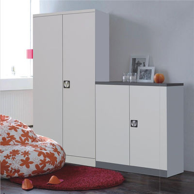 Office Furniture Steel Locker Cupboard Two Swing Door Metal Filing Cabinet